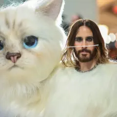 Jared Leto al Met Gala, con un outfit peloso e un gatto gigante, un'apparizione che ha fatto storia.